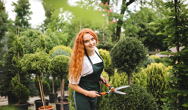 Amberwell Private Staff  Gardener